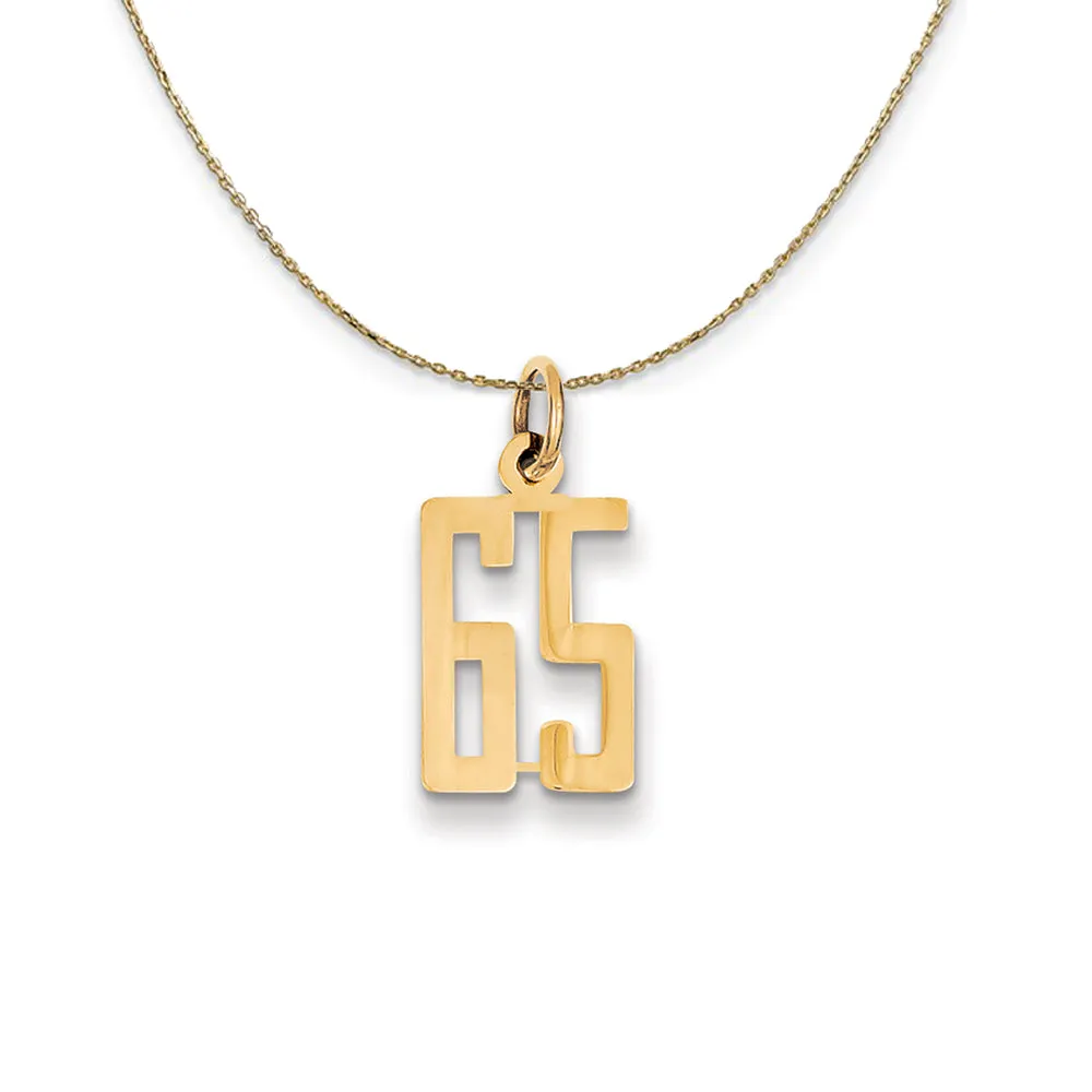 14k Yellow Gold, Alumni Small Elongated Number 65 Necklace